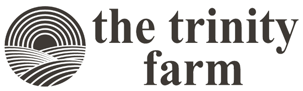Logo dark TTF